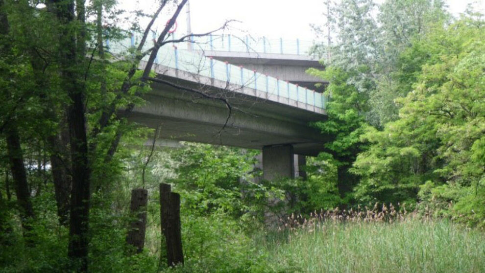 Instandsetzung A22, A23 – Brücken Knoten Kaisermühlen und A4, Schrägseilbrücke